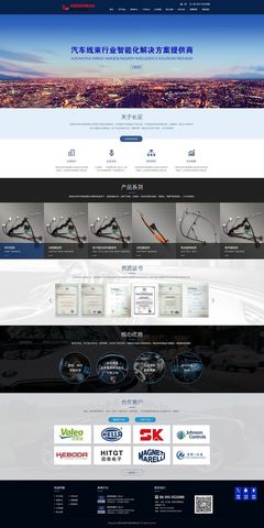 专业网站设计与代理代办服务 打造数字化时代的企业门户